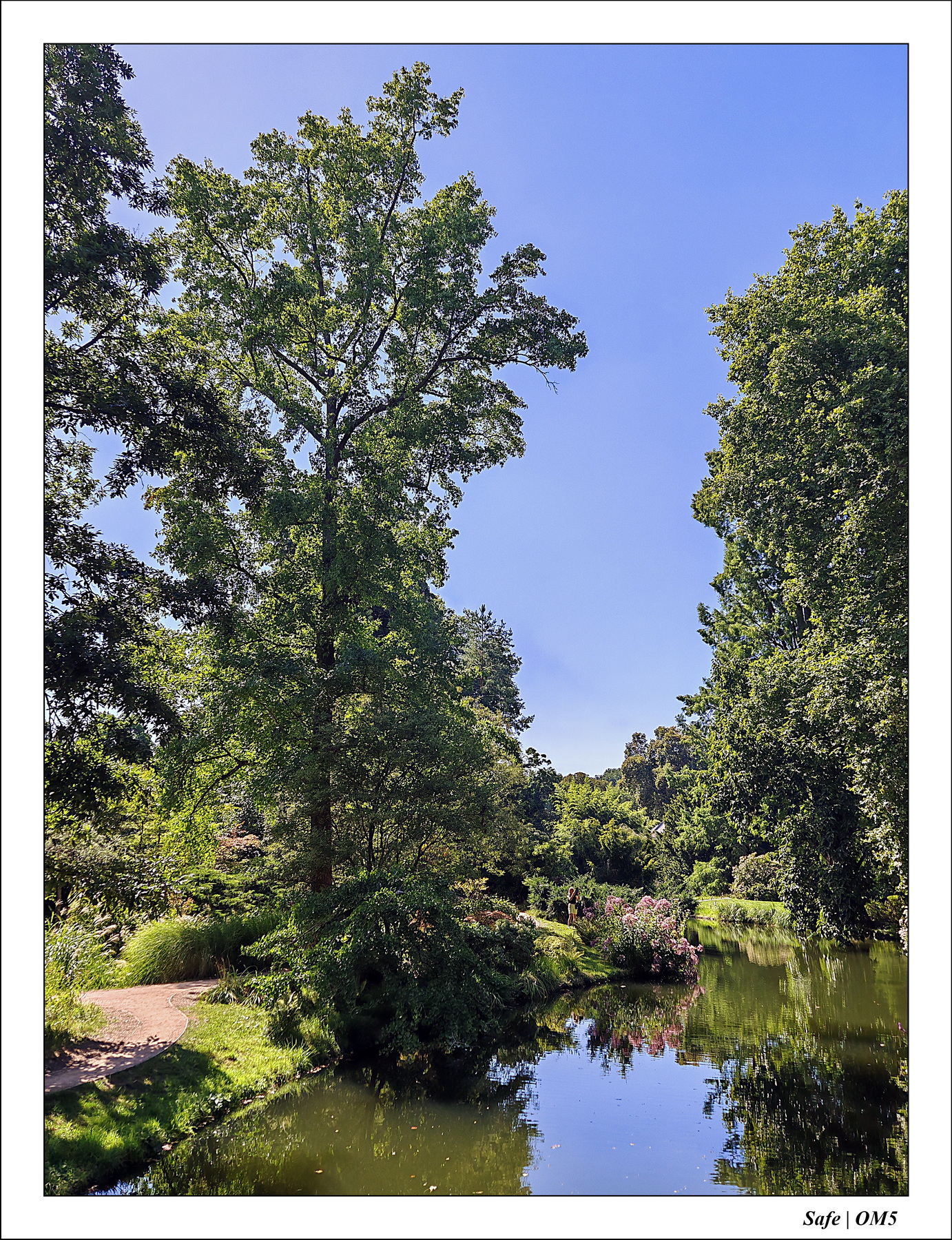 2025 - 08 - Vallée des loups - 32